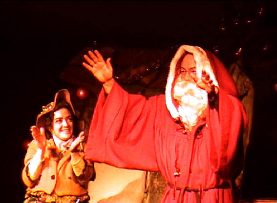 Spectacles pour enfants et arbres de noel avec le Père Noël et la conteuse du spectacle : " L